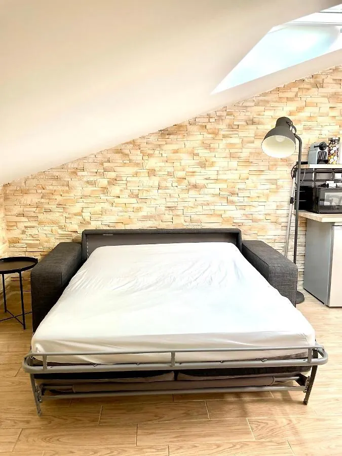 Safari Apartment In Heart Of Cannes And Beaches Γαλλία